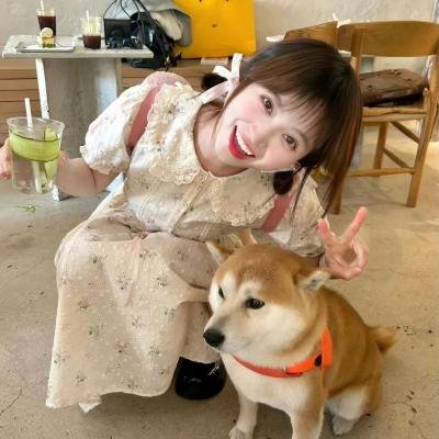 四叠半时光机